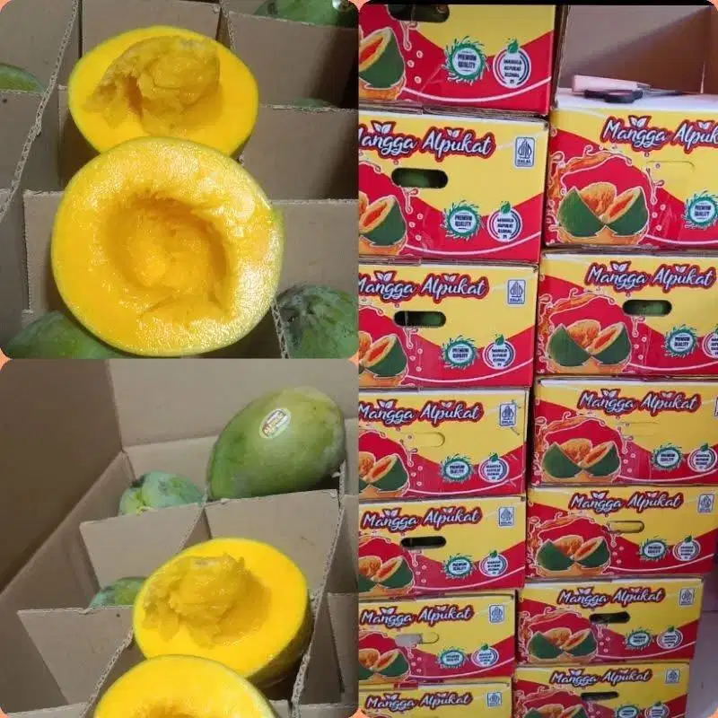 JUAL MANGGA ALPUKET ( manis )