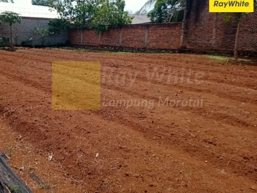 Dijual Tanah di Kalianda, Lampung Selatan (Kode : CC ME 3850)