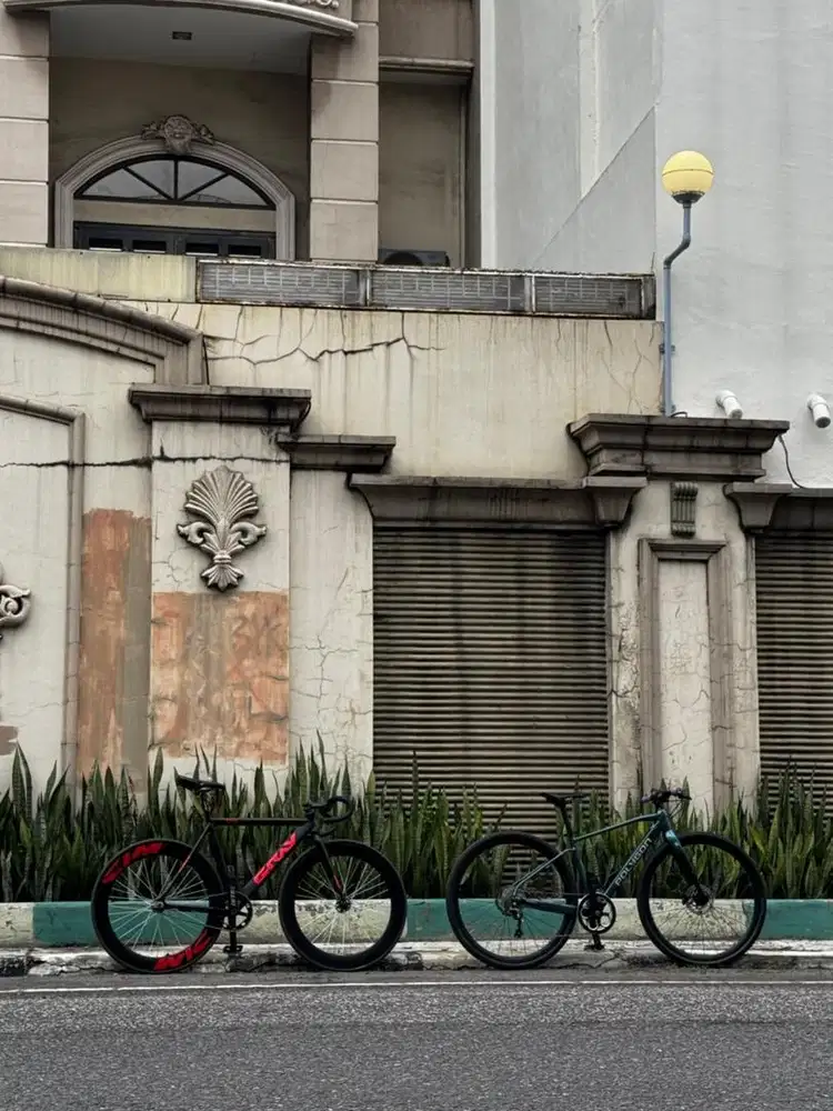 Fixie Gray Rain Doltrap
