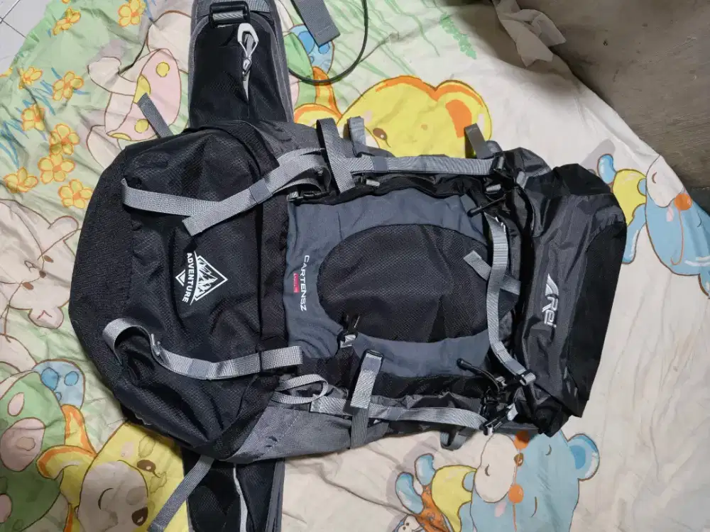Carrier Arai Cartenz 60L