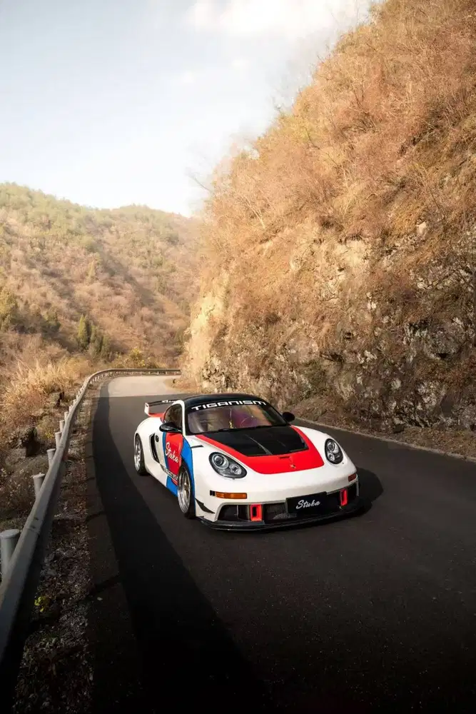 Bodykit Porsche Cayman 987 Stuka Widebody