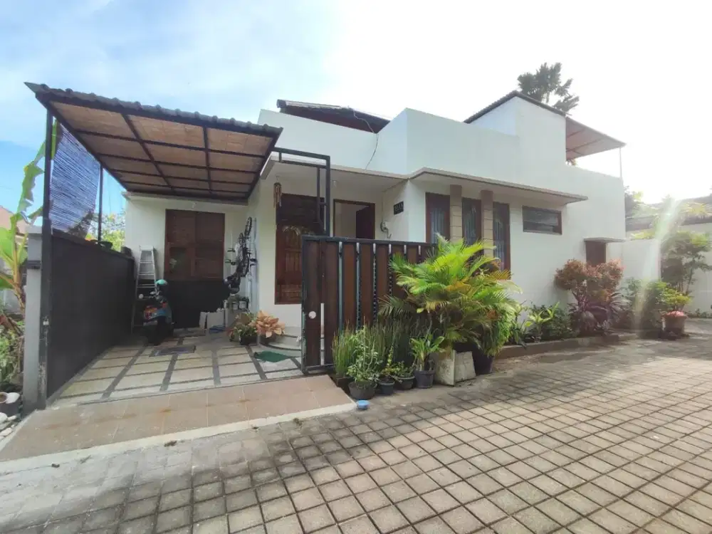 Rumah Minimalis 1 Lantai Murah di Jalan Pura Masuka, Ungasan, 400 Meter Dari Raya Uluwatu (Pasar Ampera)