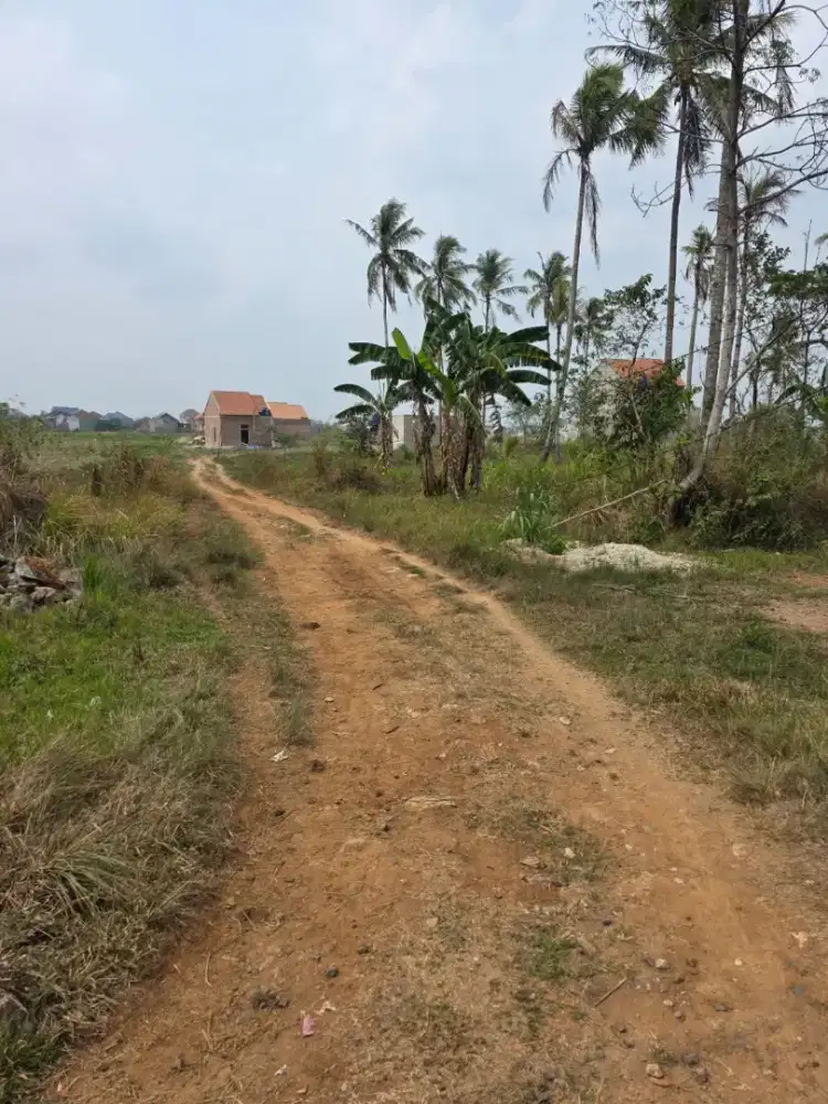DIJUAL TANAH FAJAR BARU