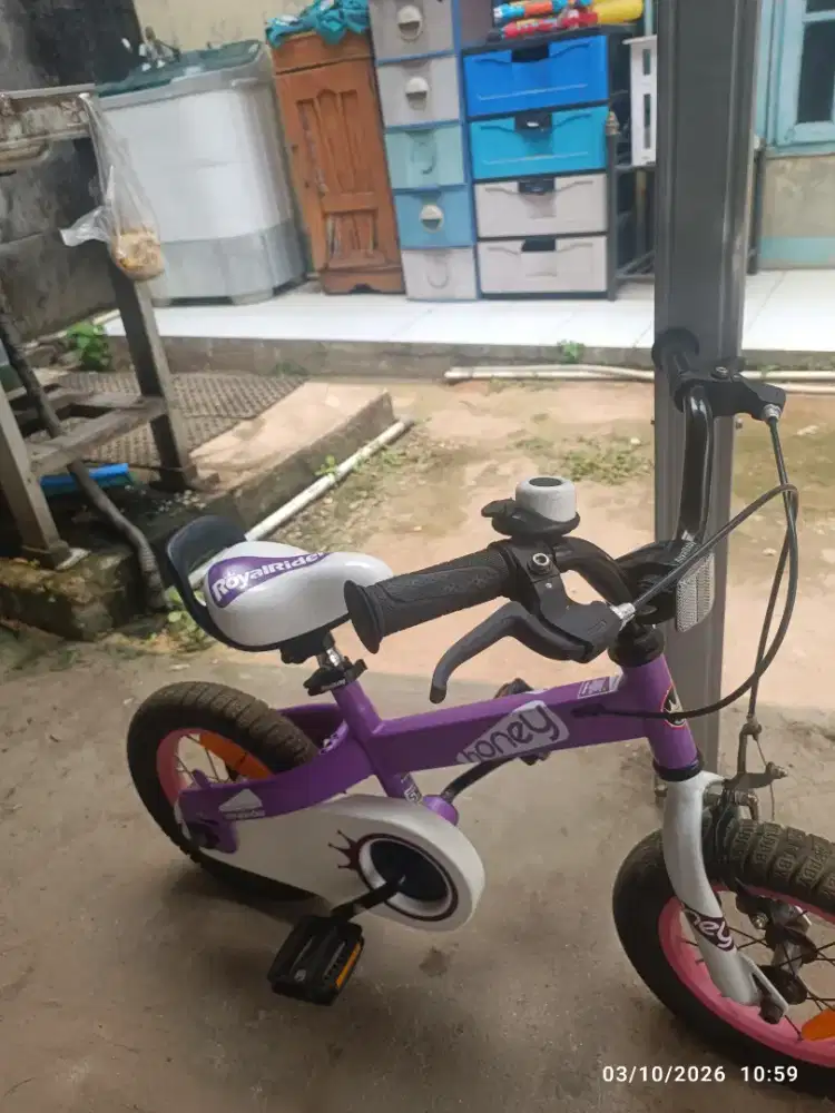 jual sepeda royalbaby