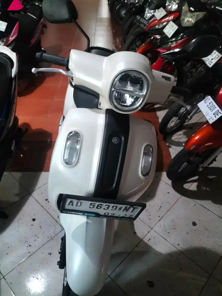 jual fazzio 2022
