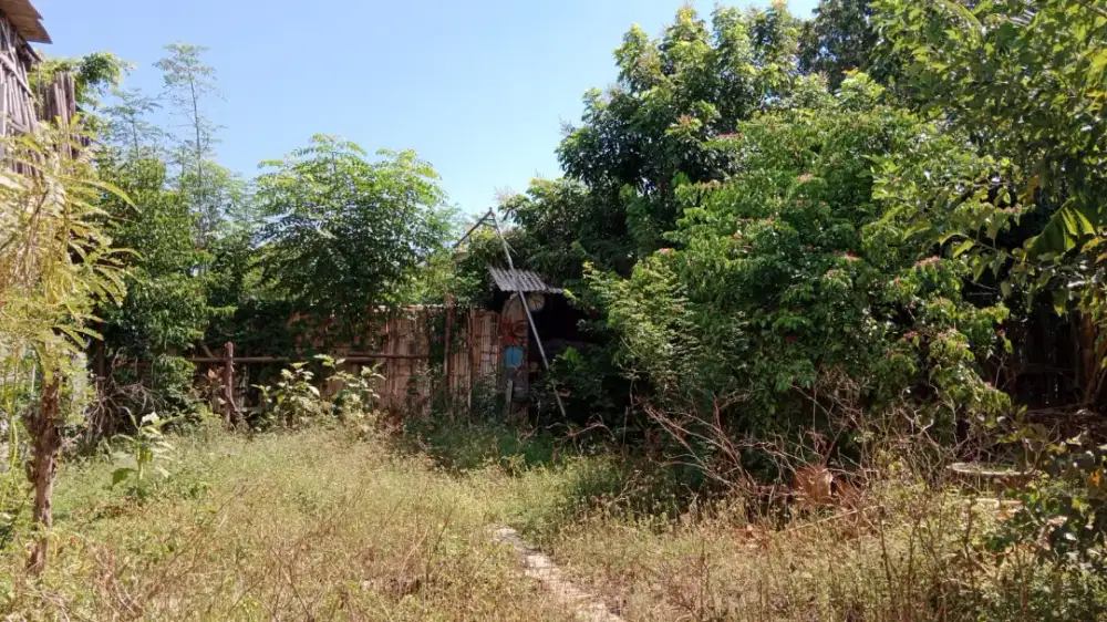 Dijual tanpa perantara