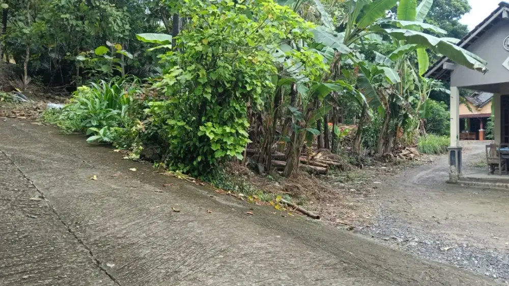 Tanah luas 89 meter(8x12),harga 90 jt nego