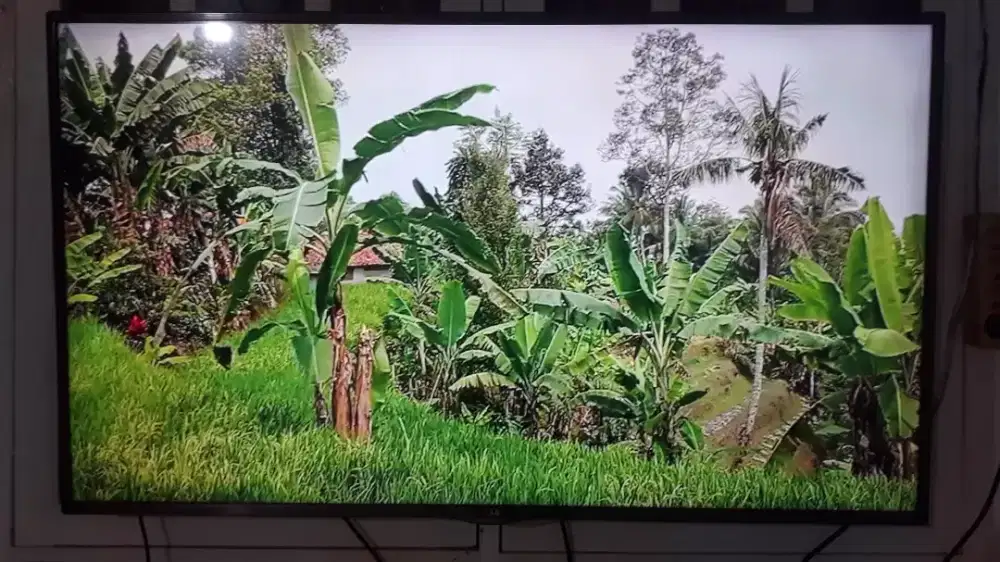 LED LG 55 inc smart TV