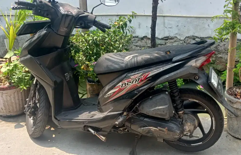 beat injection thn 2019