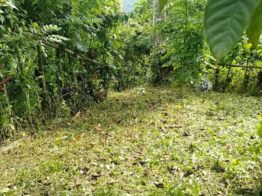 Disewakan Lahan dengan View Sungai dan Bukit yang Indah