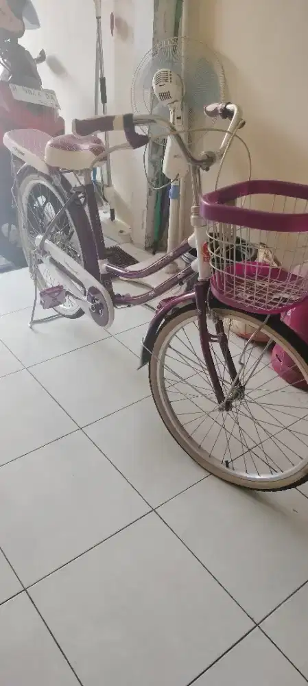Sepeda phonix warna ungu putih