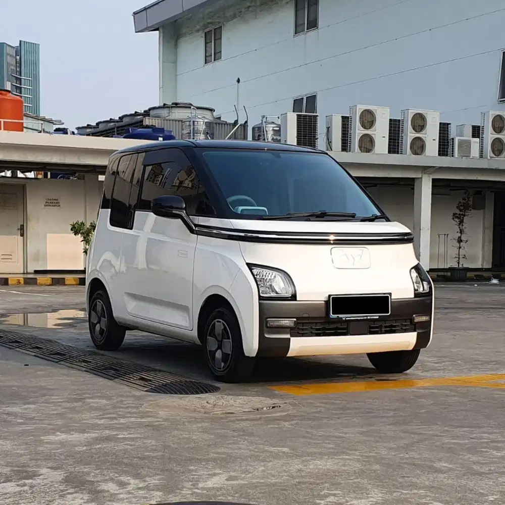 WULING AIR EV 2024