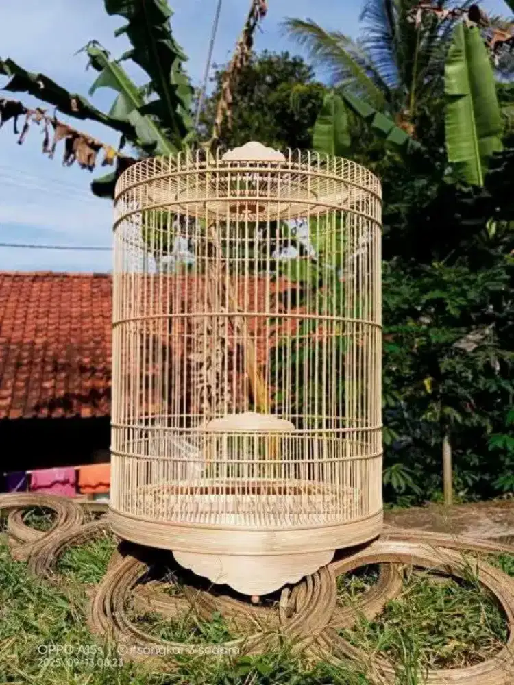 Sangkar burung murai