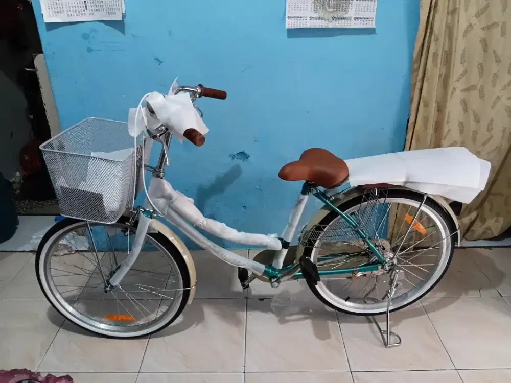 Sepeda ukuran24