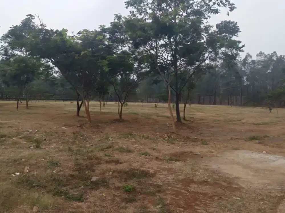 Dijual Cepat Tanah Super Strategis Luas 8400 di dekat Apartemen Ayodhya, Cikokol, Tangerang