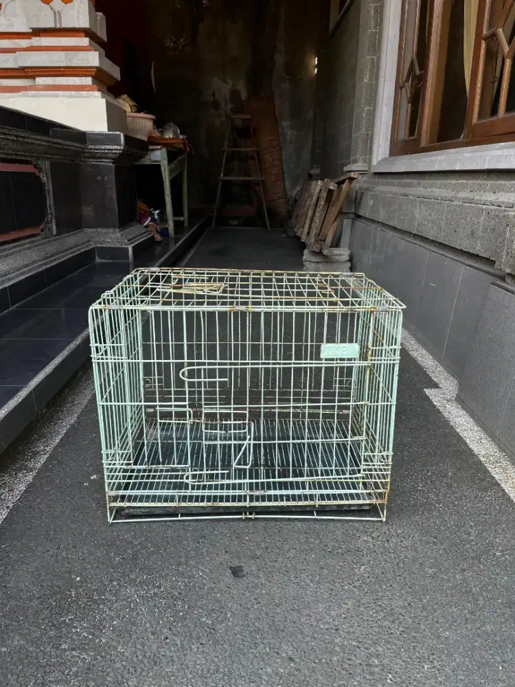 Kandang anjing dan kucing