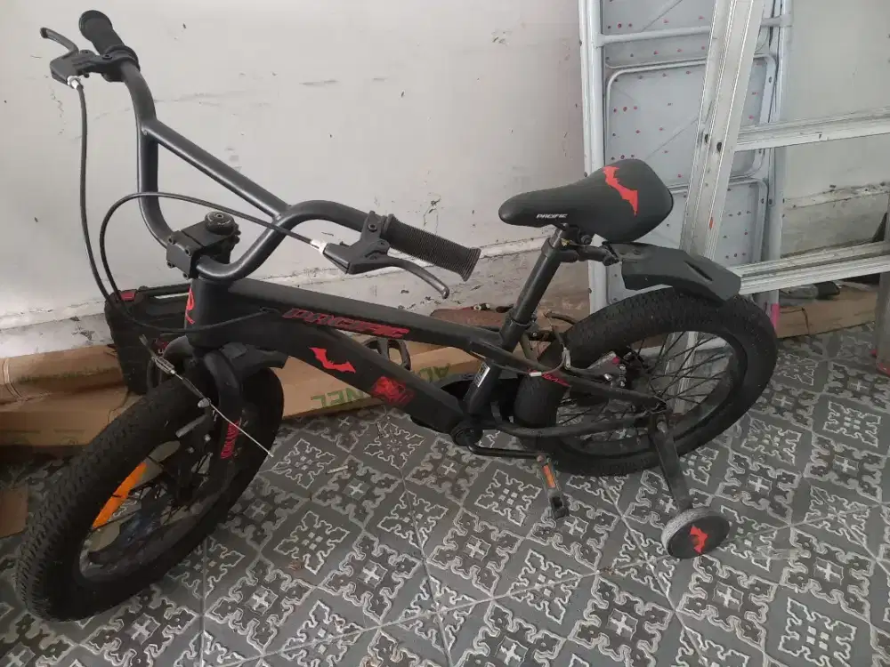 Dijua Sepeda anak