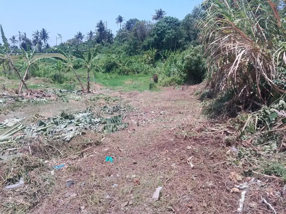 Dijual Tanah Lokasi yang Strategis di Pantai Nyanyi View Sawah