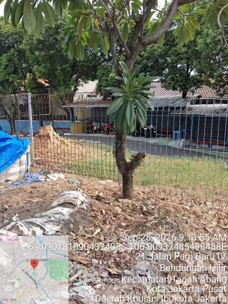 Tukang tebang pohon dki