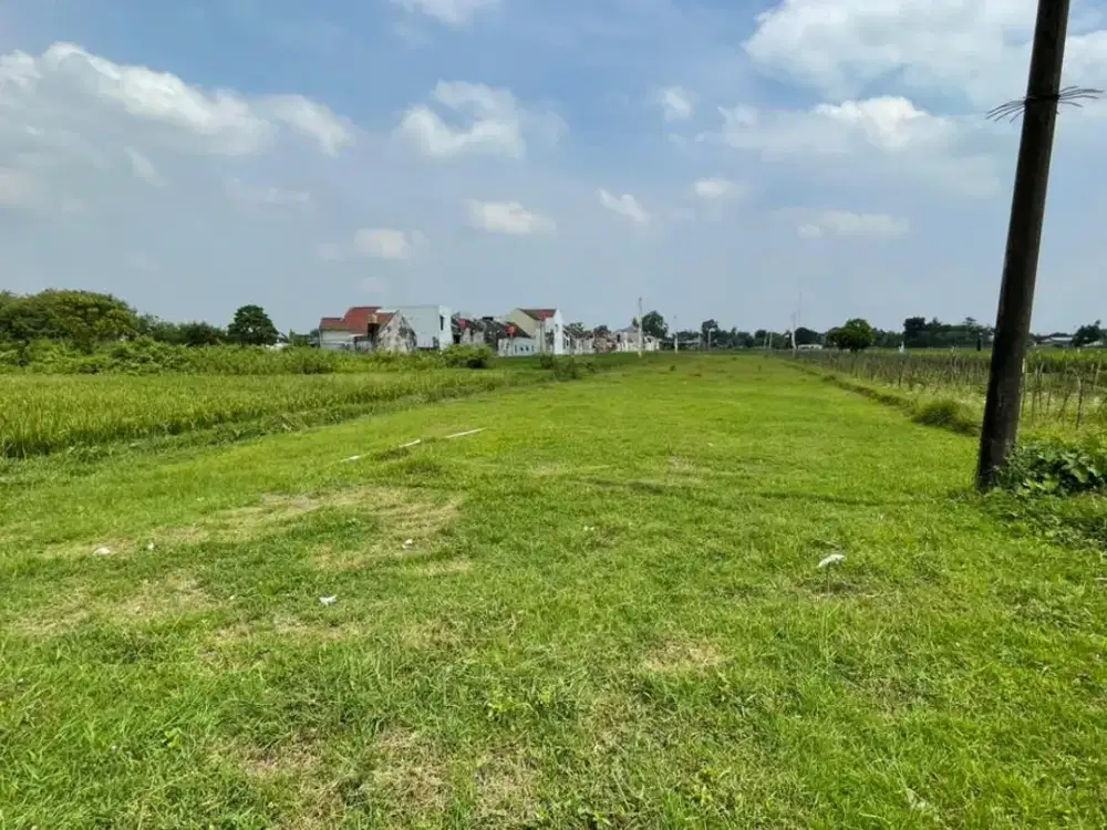 Investasi Tanah Sidoarum Godean Dekat Kota Jogja, Nilai Terus Naik