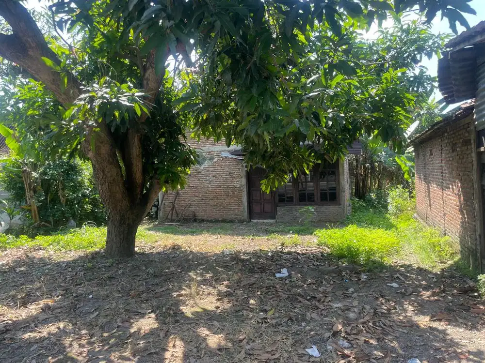Dijual Tanah 453 m² + Rumah | Pinggir Jalan Nasional | SHM