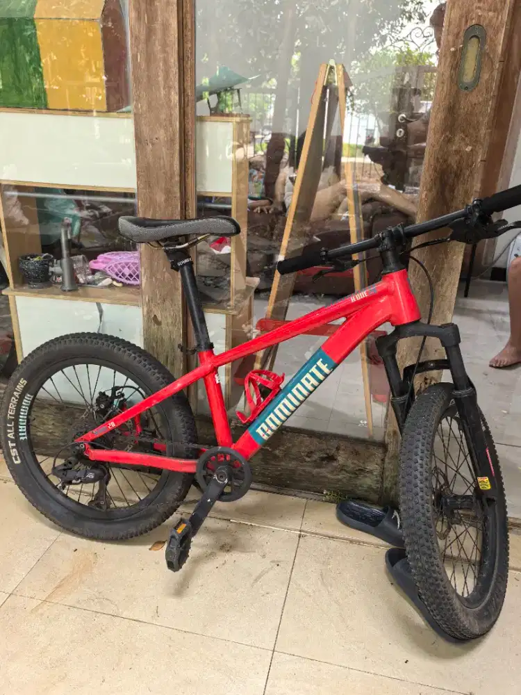 Sepeda Dominate A One 20