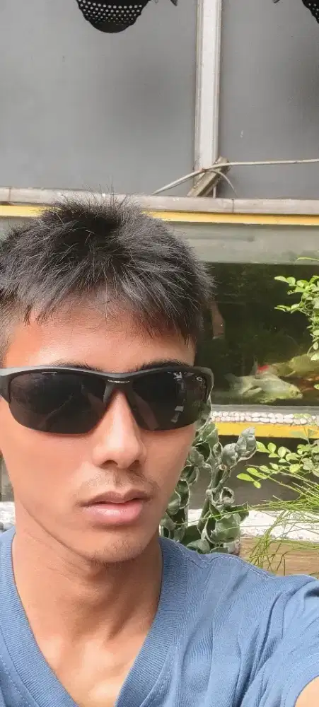 Ikan kaviat Ikan peliharaaan