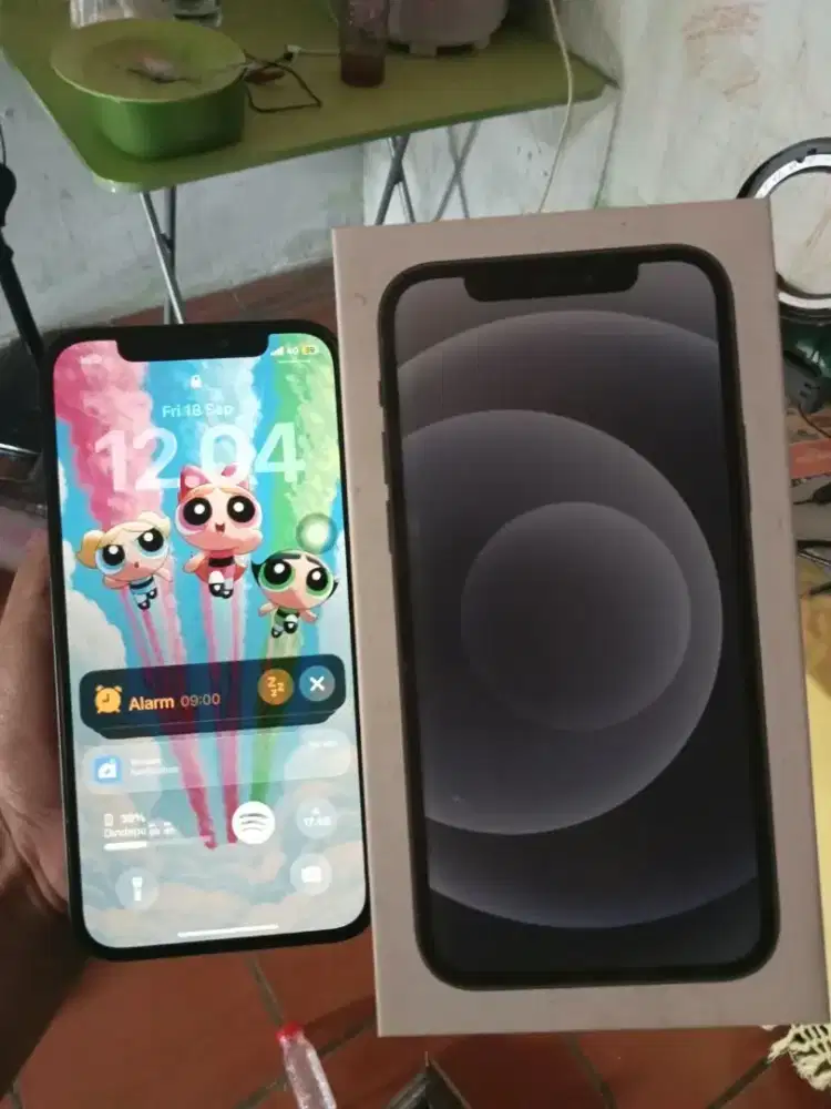 iPhone 12 basic