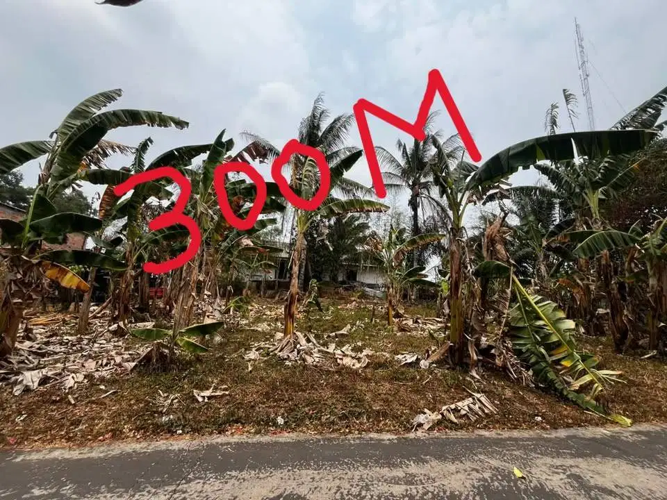 tanah strategis jl naskah 2 / 300m