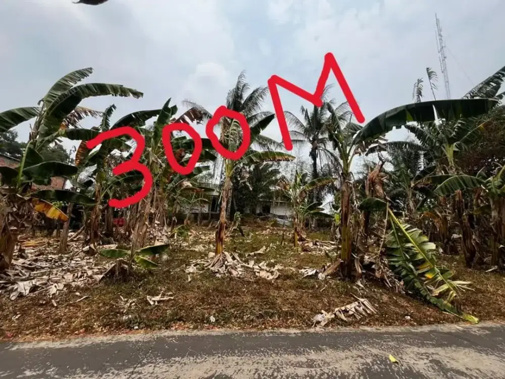 tanah strategis jl naskah 2 / 300m