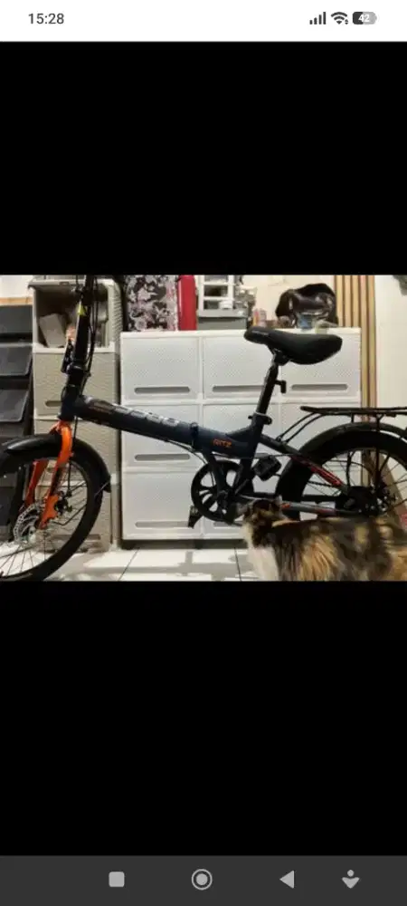 Sepedah odessy Ritz 20inc