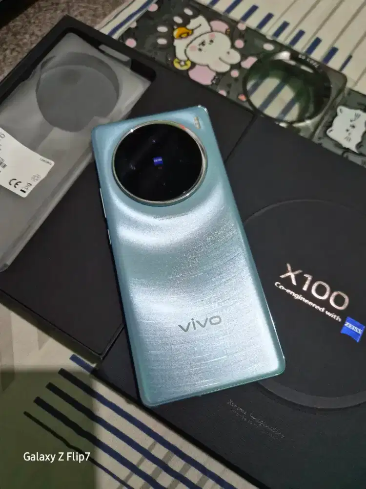 Vivo X100 Basic 12+12/256