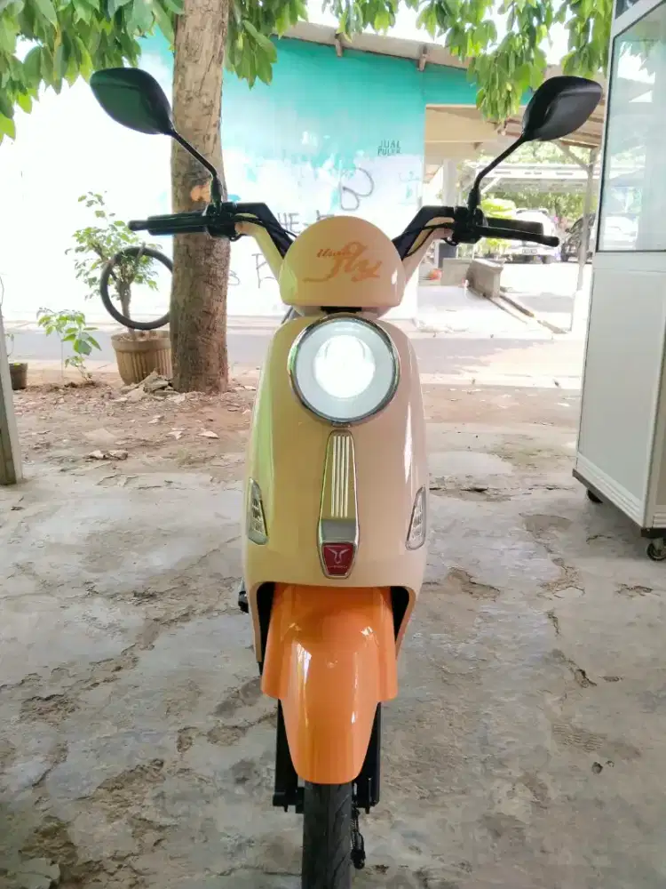 Sepeda listrik uwinfly