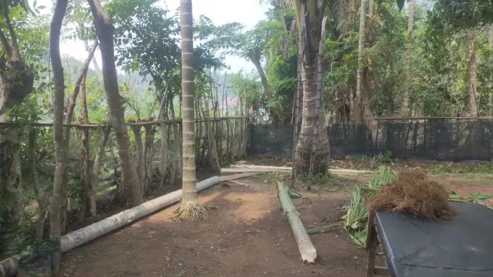 DIJUAL TANAH – PESISIR SELATAN, SUMATERA BARAT