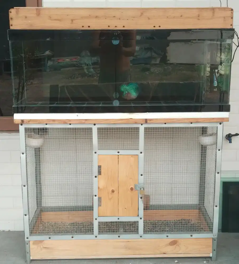 Kandang burung dan aquarium