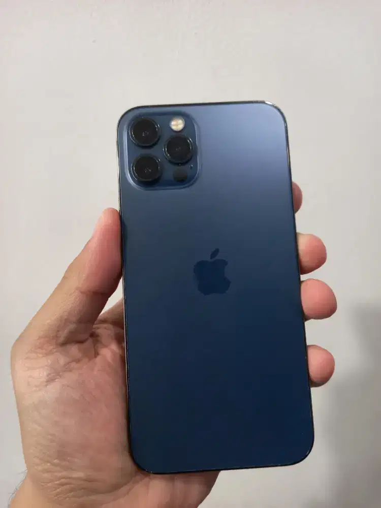 IPhone 12 Pro 256Gb Batang ex inter ada minus dibaca