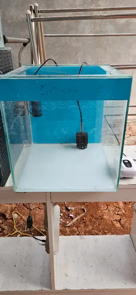 AKUARIUM PAKET LENGKAP