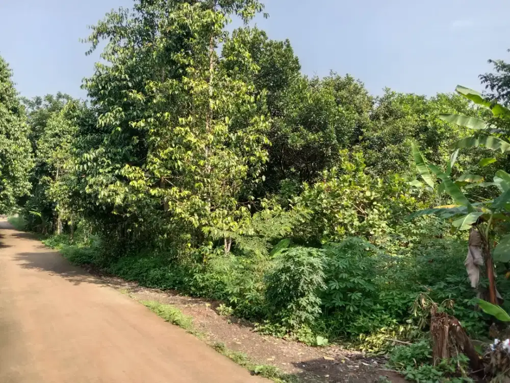 DIJUAL LAHAN KOSONG