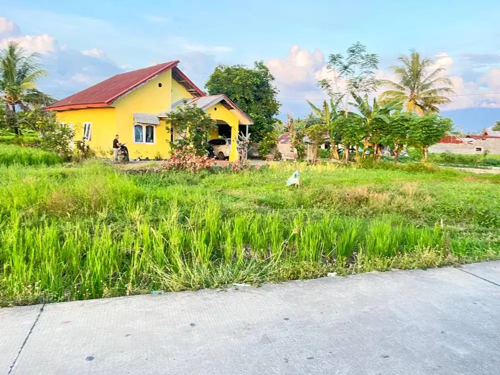 Tanah Piai Tangah