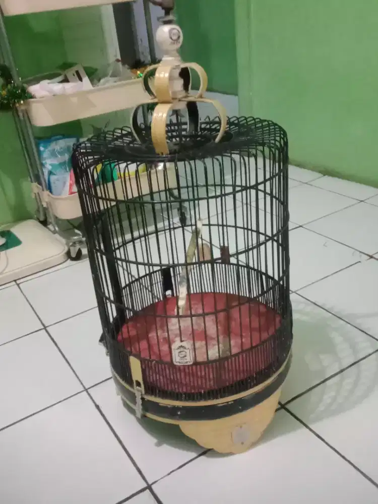 Sangkar burung anis