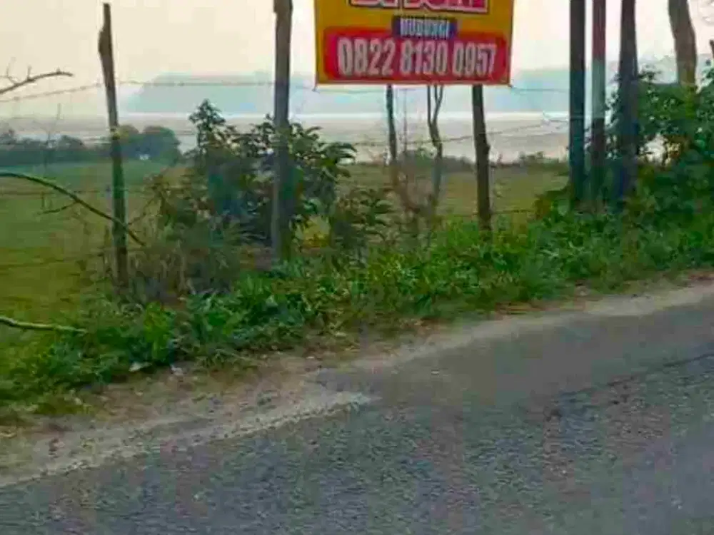 TANAH KEBUN PRODUKTIF VIEW DANAU RANAU SISI JALAN UTAMA PERBATASAN PENGHUBUNG ANTAR PROVINSI SUM-SEL DAN LAMPUNG