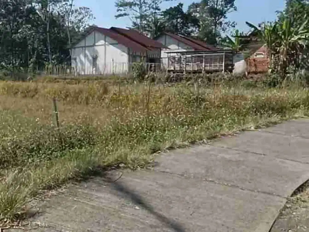 tanah kebun murah