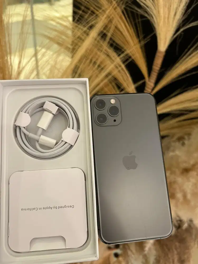 iphone 11 pro 256gb istilah baru