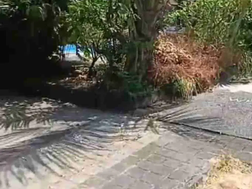 tanah bonus bangunan 2 lantai dekat Seminyak kerobokan bali