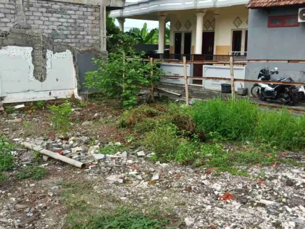 tanah murah BUC di tegal cupek umalas
