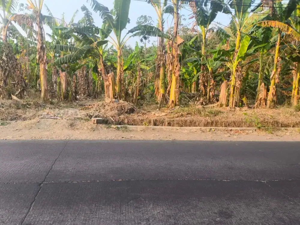 Dijual tanah berlokasi di Jalan Pagaden - Haurgeulis, Kabupaten Subang
