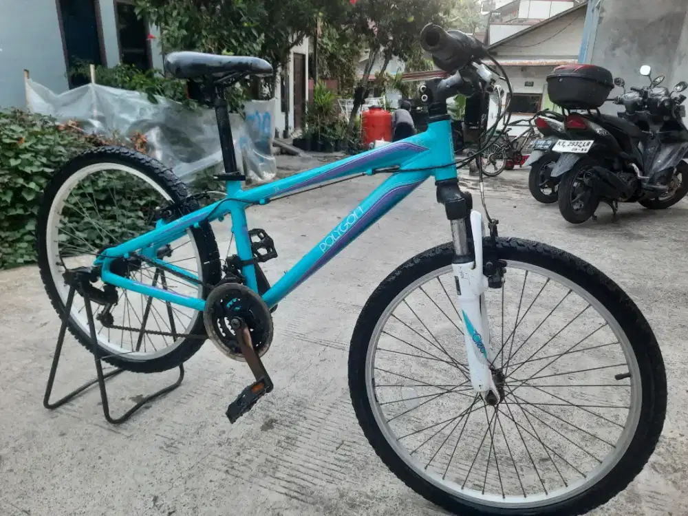 Sepeda polygon cleo uk 24