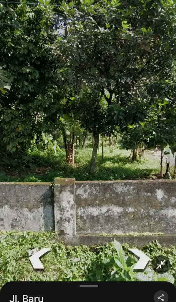 Dijual Tanah kosong di desa Dayu kec.Nglegok