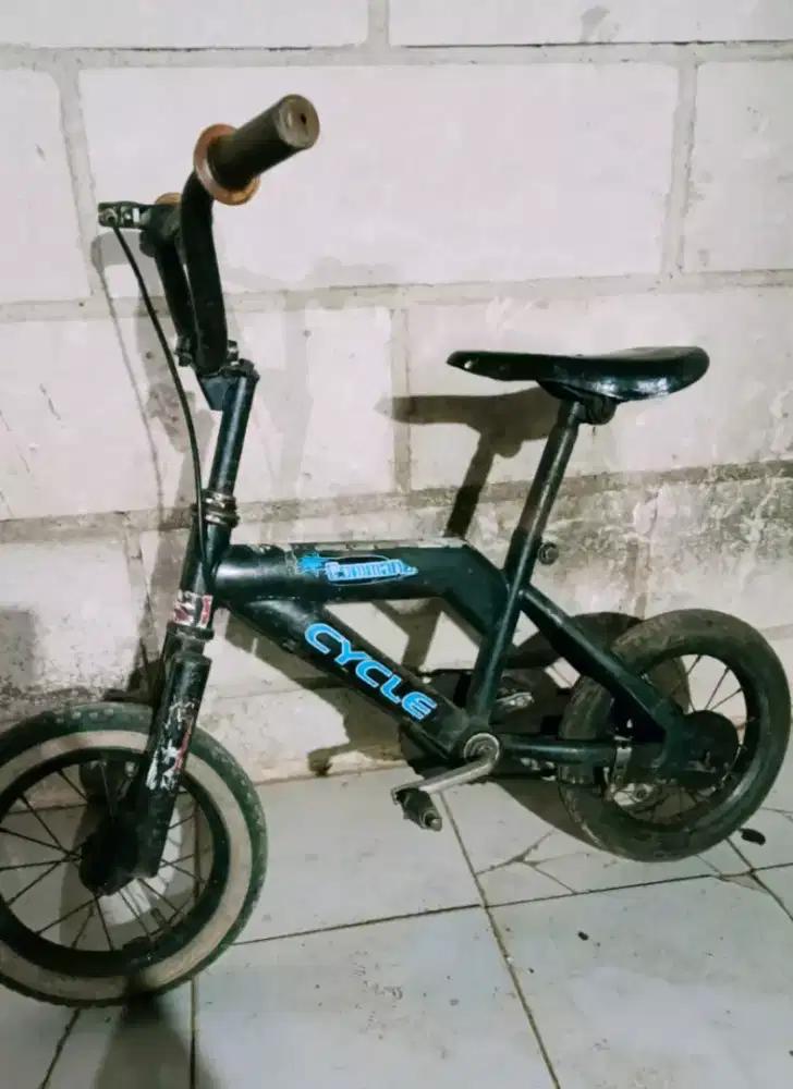 Sepeda anak UK 12