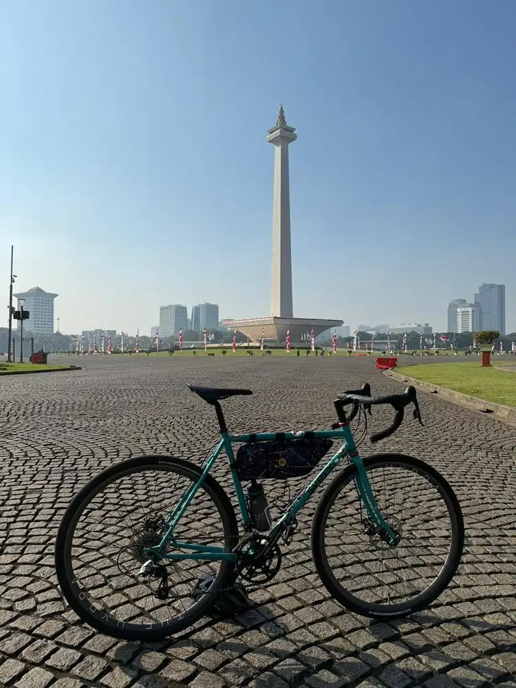 Sepeda Surly Straggler bagus  istimewa